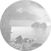Консультации ON-LINE
